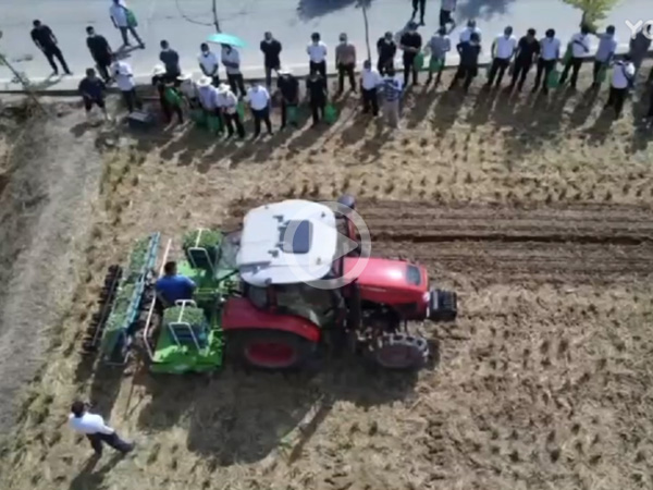 油菜毯狀苗聯合移栽機